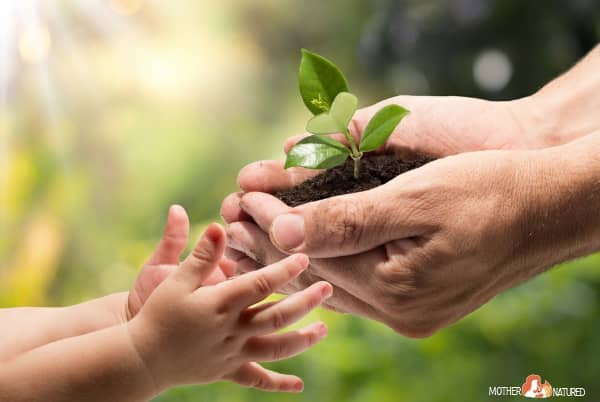 About New Academy For Nature And Culture