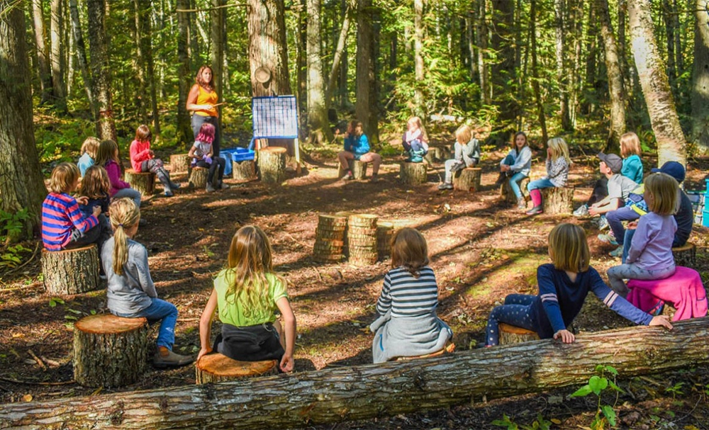 New Academy For Nature And Culture Hero Image